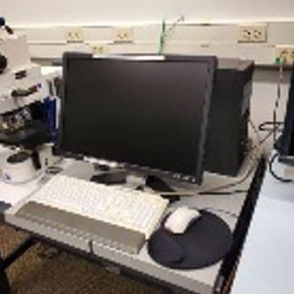 Zeiss Imager M 2 m Microscope