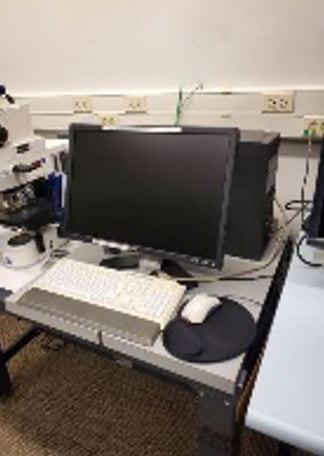 Zeiss Imager M 2 m Microscope