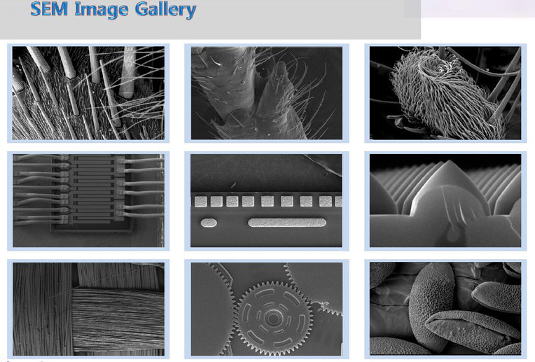 Pemtron PS 230 SEM (Scanning Electron Microscope)
