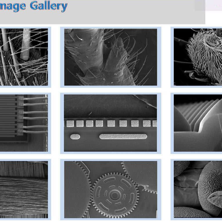Pemtron PS 230 SEM (Scanning Electron Microscope)