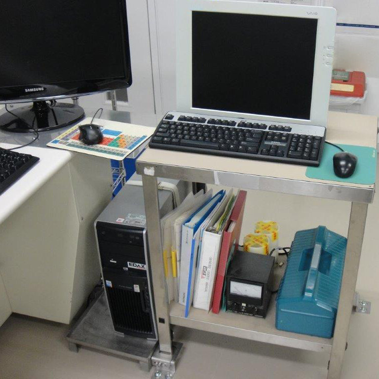 Hitachi S 4500 FE-SEM (Field Emission Scanning Electron Microscope)