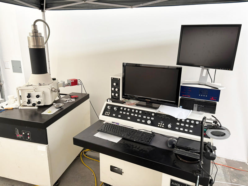 Kratos Axis DLD XPS (X-ray Photoelectron Spectroscopy)