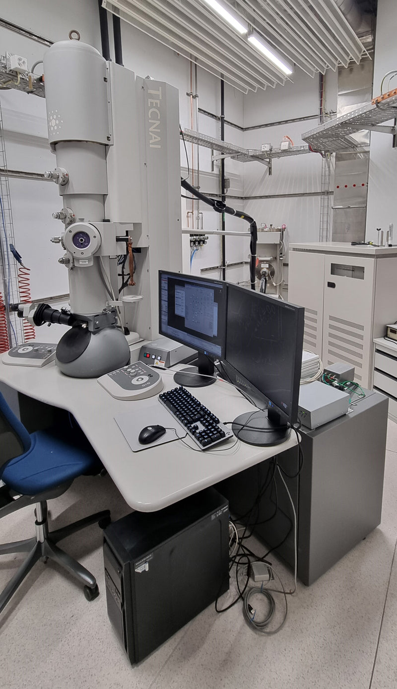 Thermo Fisher Scientific / FEI Tecnai F 20 FEG Cryo TEM (Transmission Electron Microscope)