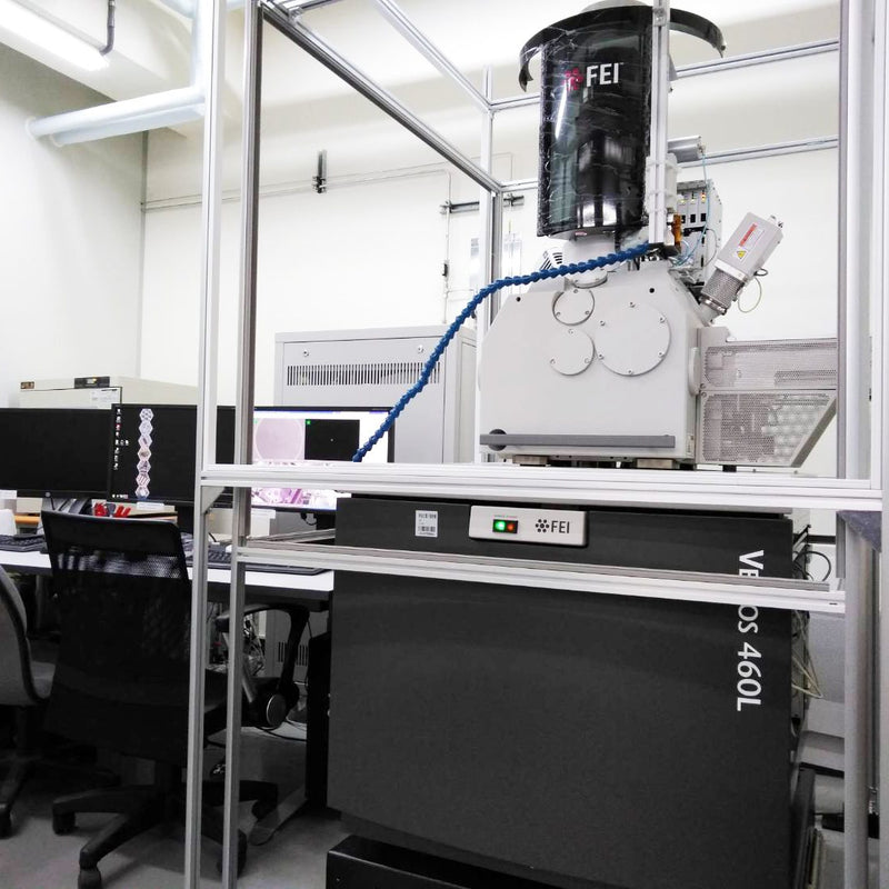 Thermo Fisher Scientific / FEI Verios 460 L FE-SEM (Field Emission Scanning Electron Microscope)