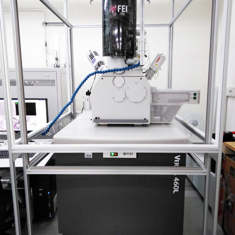 Thermo Fisher Scientific / FEI Verios 460 L FE-SEM (Field Emission Scanning Electron Microscope)