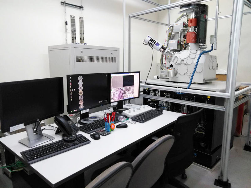 Thermo Fisher Scientific / FEI Verios 460 L FE-SEM (Field Emission Scanning Electron Microscope)