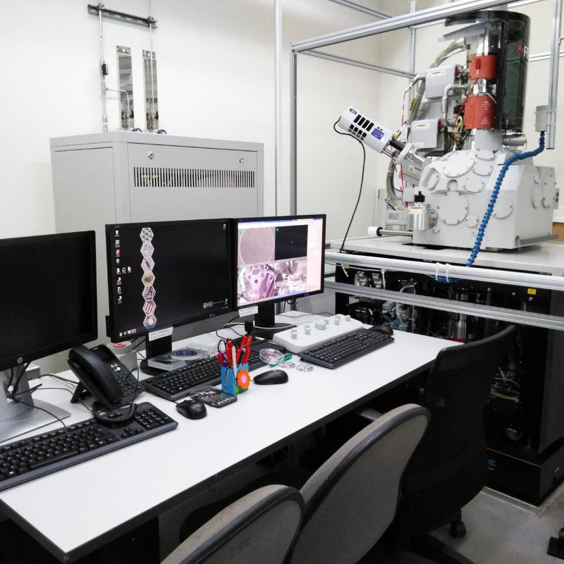 Thermo Fisher Scientific / FEI Verios 460 L FE-SEM (Field Emission Scanning Electron Microscope)