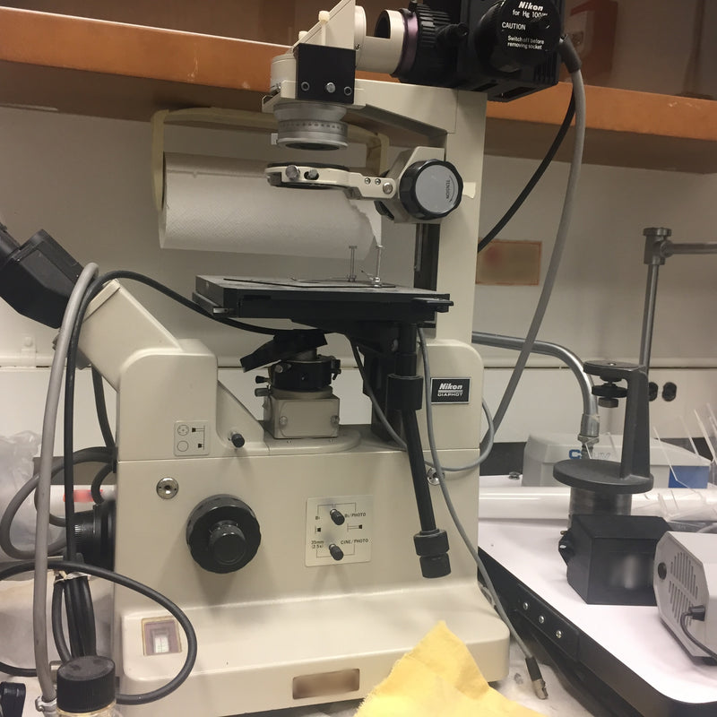 Nikon Diaphot Microscope