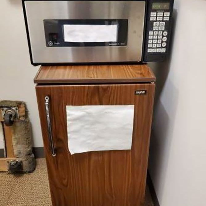 Hitachi S 4500 FE-SEM (Field Emission Scanning Electron Microscope)