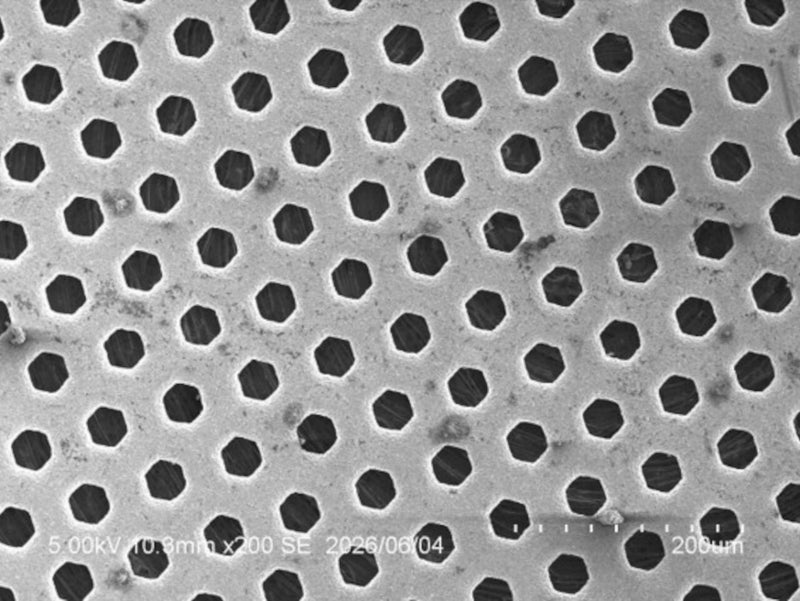 Hitachi S 3400 N SEM (Scanning Electron Microscope)