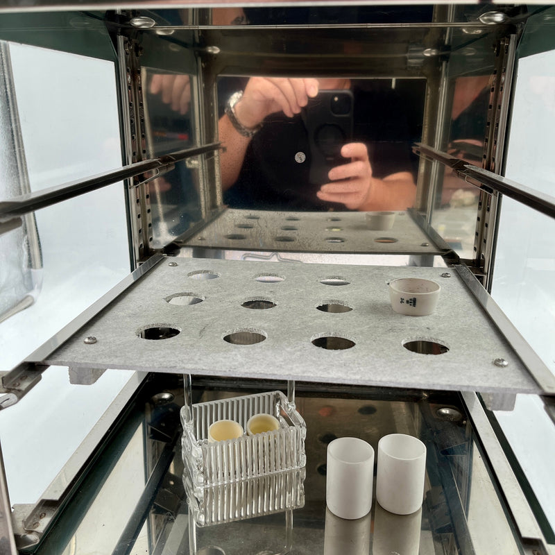 Bowel Scientific Desiccator Cabinet