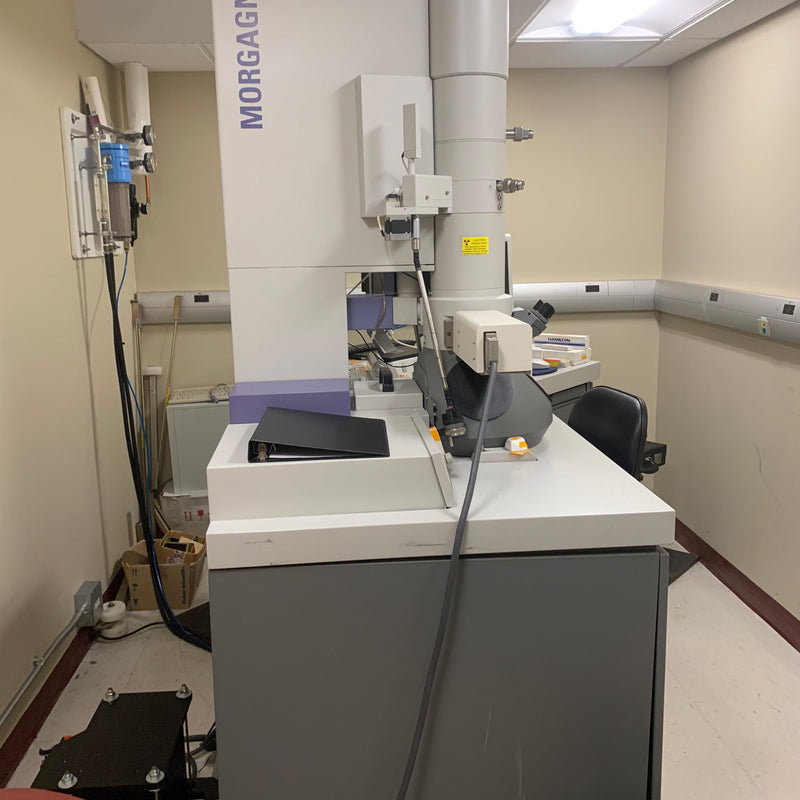 Thermo Fisher Scientific / FEI Morgagni 268 TEM (Transmission Electron Microscope)