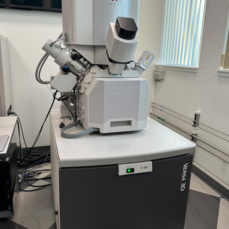 Thermo Fisher Scientific / FEI Versa 3 D FIB (Focused Ion Beam)