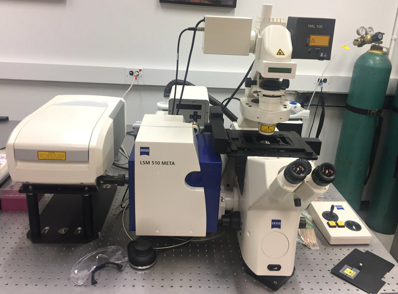 Zeiss 510 Confocal Microscope