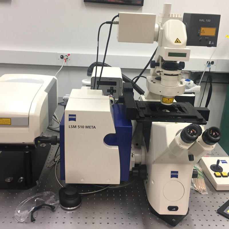 Zeiss 510 Confocal Microscope