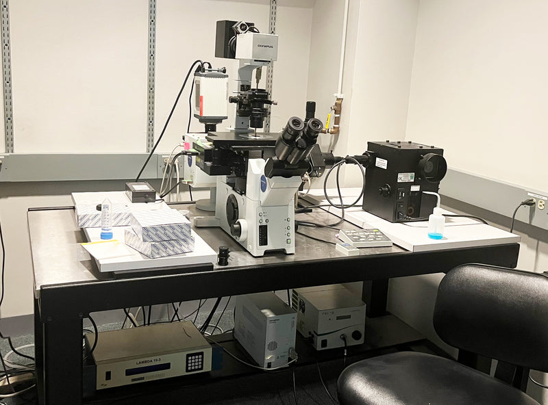 Olympus DSU Microscope