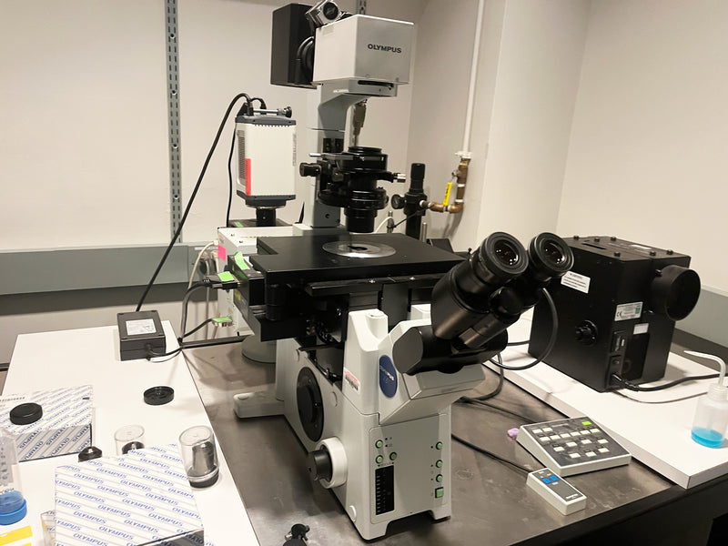 Olympus DSU Microscope