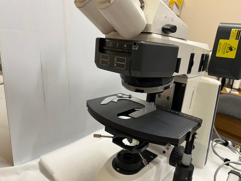 Zeiss Axioscope 7 Microscope