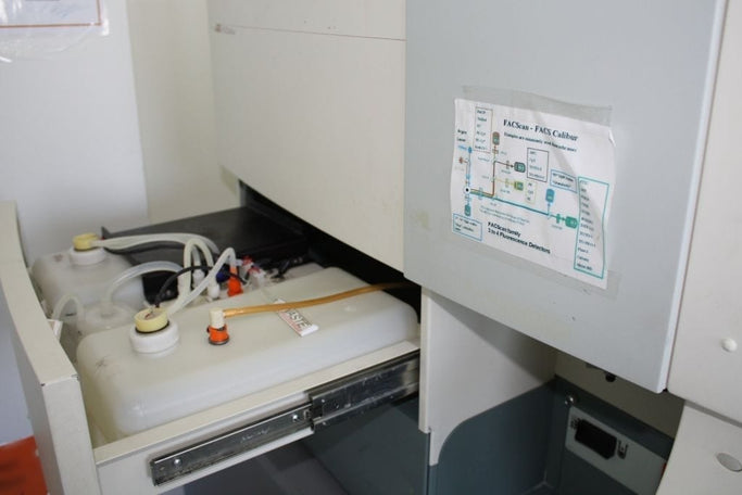 Becton Dickinson FACSCalibur Flow Cytometer