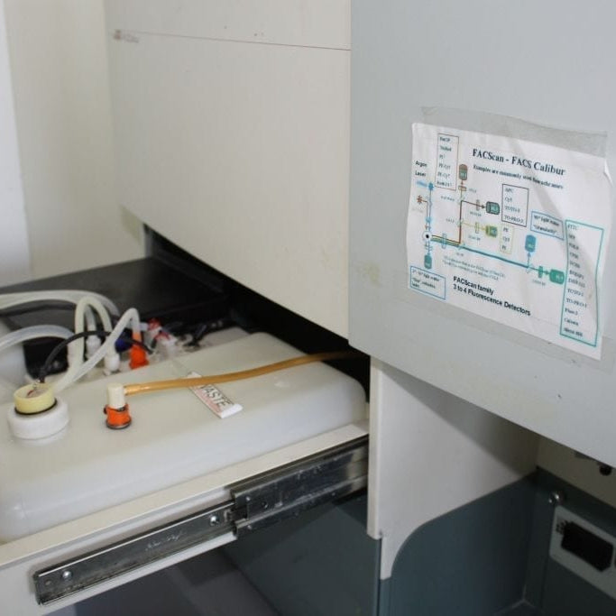 Becton Dickinson FACSCalibur Flow Cytometer