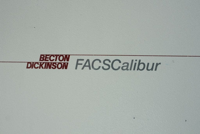 Becton Dickinson FACSCalibur Flow Cytometer