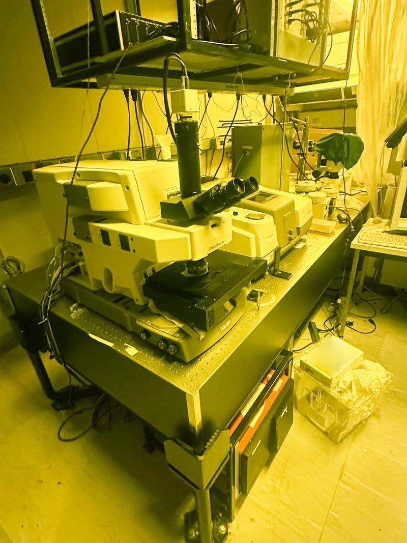 Newport Optical Table