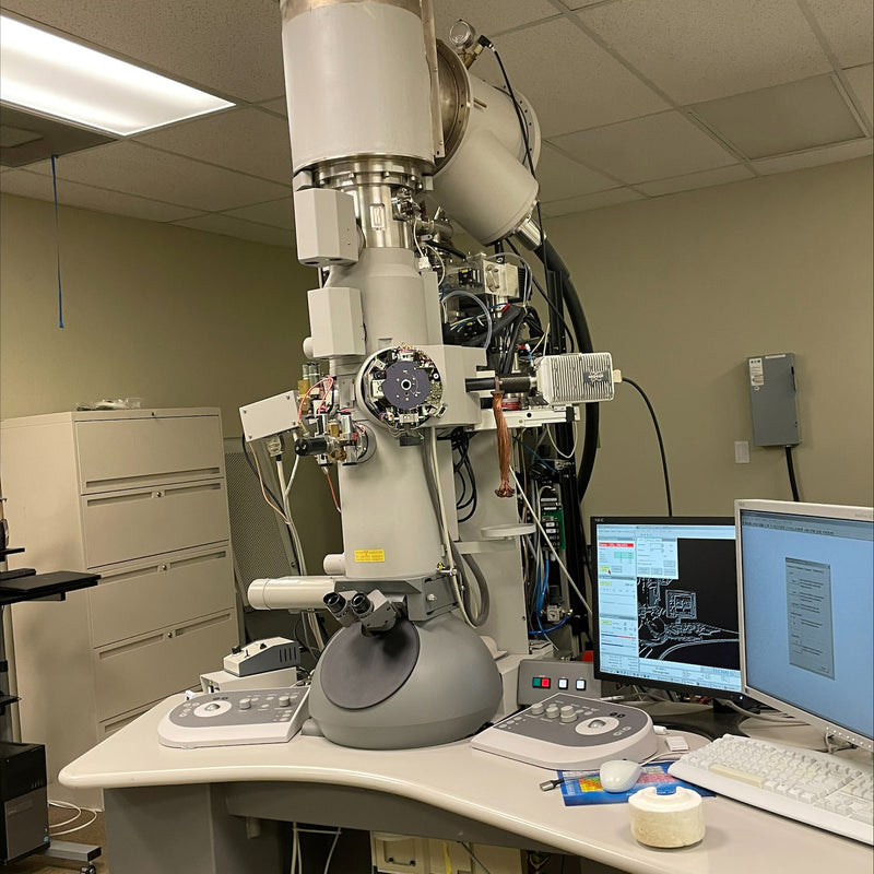 Thermo Fisher Scientific / FEI Tecnai TF 20 TEM (Transmission Electron Microscope)