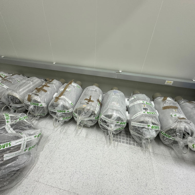 Axcelis NV GSD HE Ion Implanter