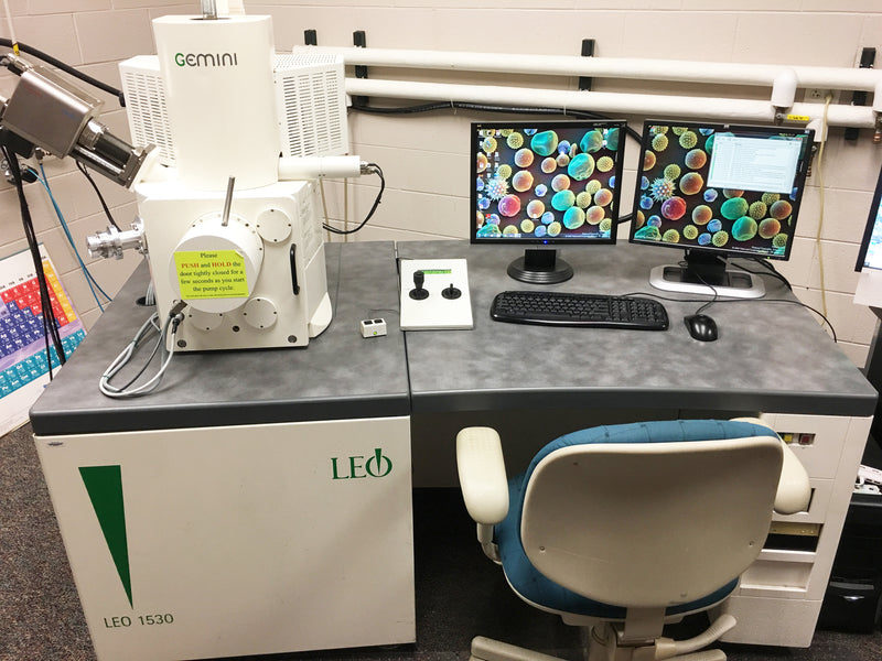 Zeiss / Leo DSM 1530 SEM (Scanning Electron Microscope)