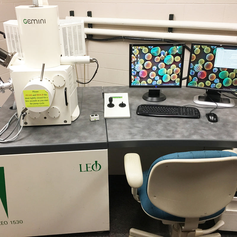 Zeiss / Leo DSM 1530 SEM (Scanning Electron Microscope)