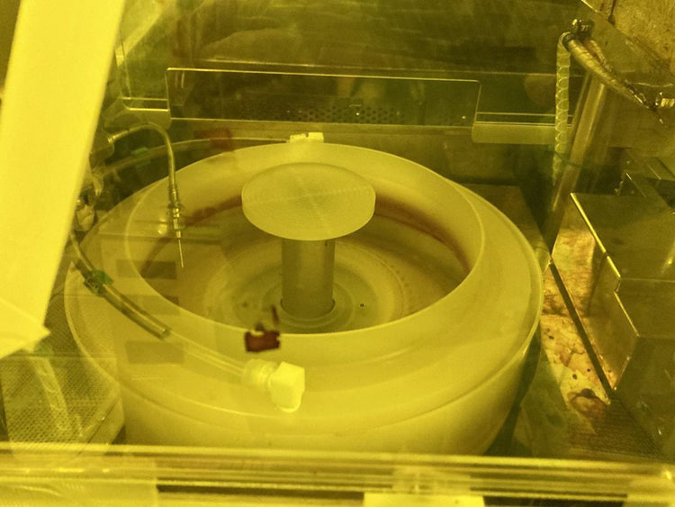 SCREEN / DNS SCW 80 A Wafer Scrubber