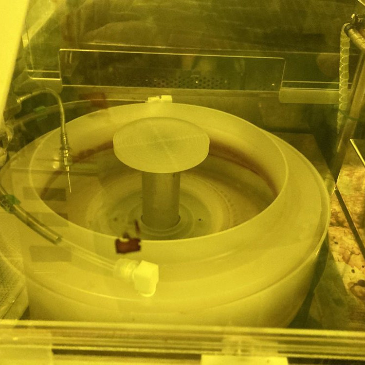 SCREEN / DNS SCW 80 A Wafer Scrubber