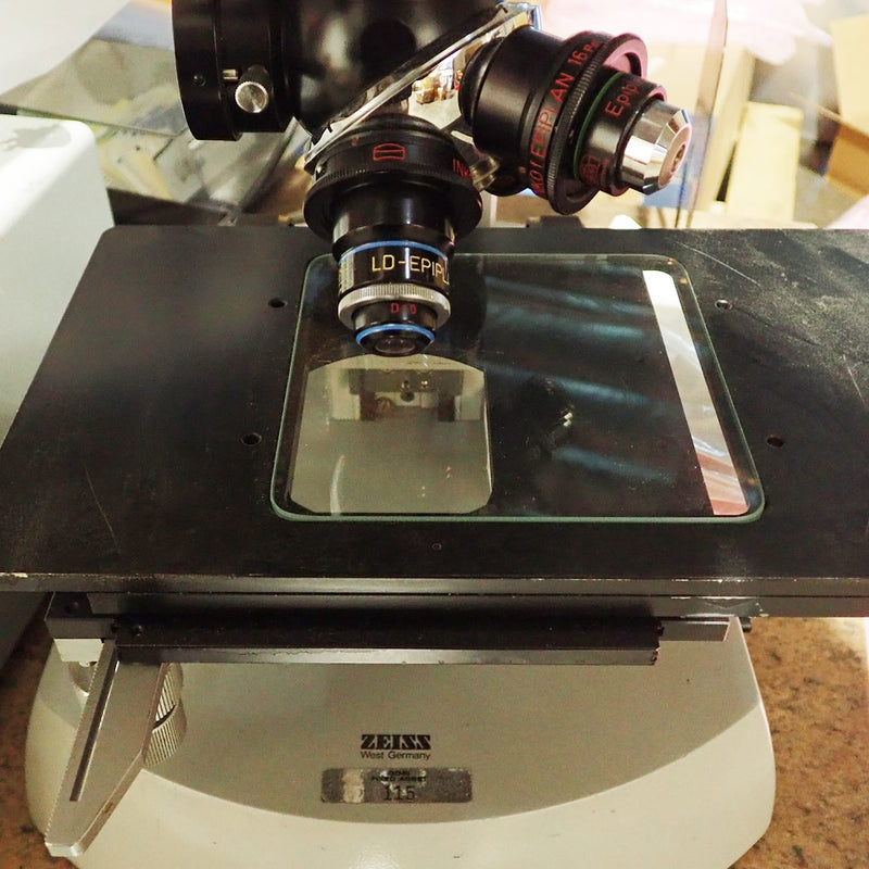 Zeiss Microscope