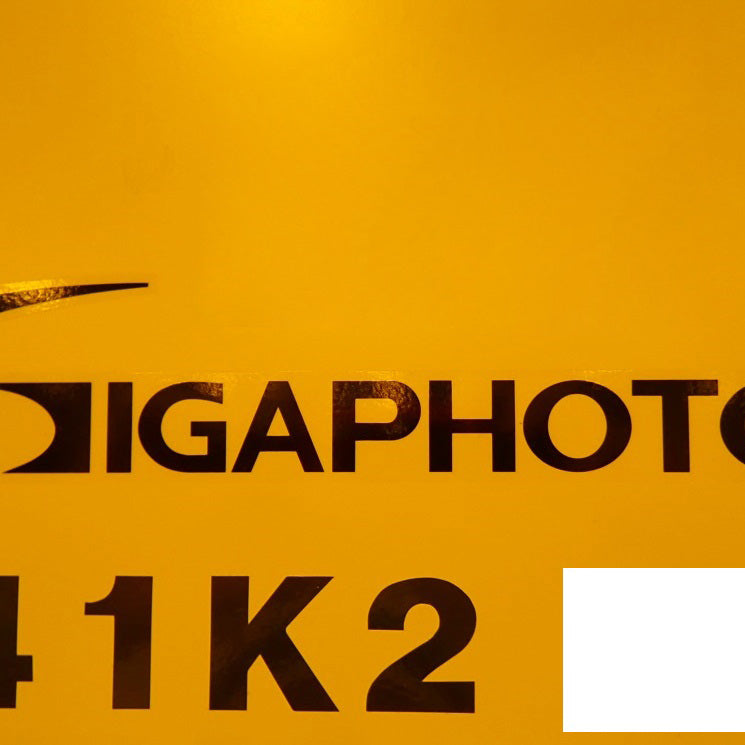 Nikon NSR S 207 D Stepper