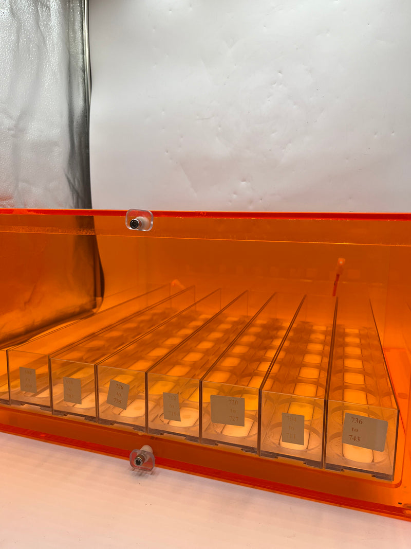 Amber Acrylic Desiccator