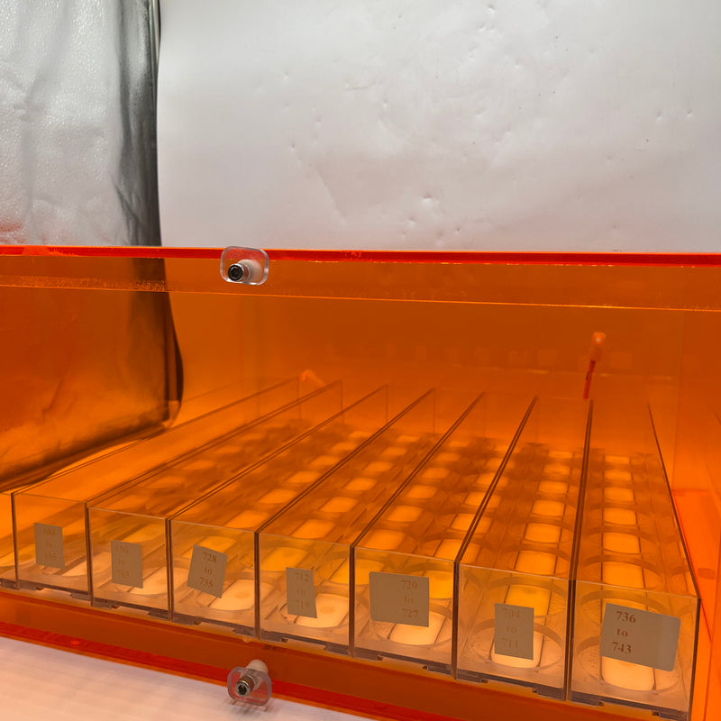 Amber Acrylic Desiccator