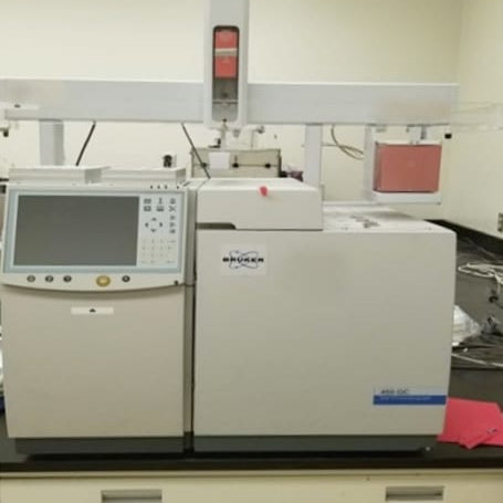 Bruker 450 GC (Gas Chromatography)