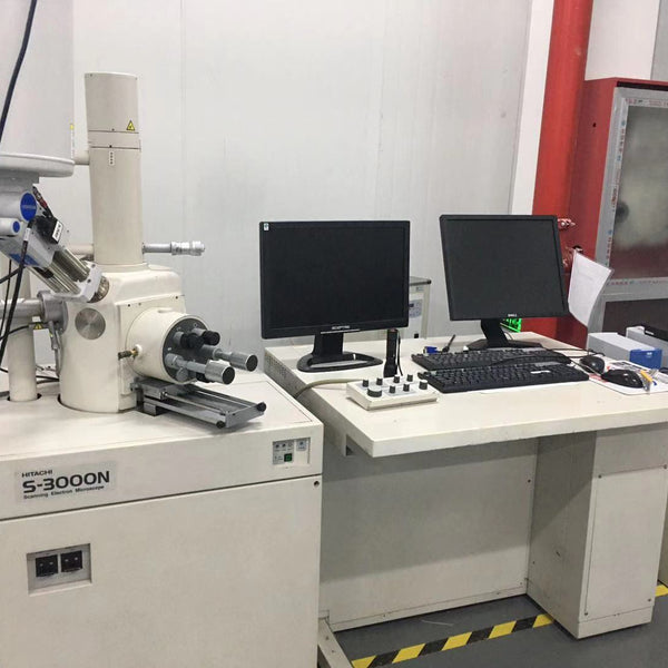 Hitachi S 3000 N VP-SEM (Variable Pressure Scanning Electron Microscope)