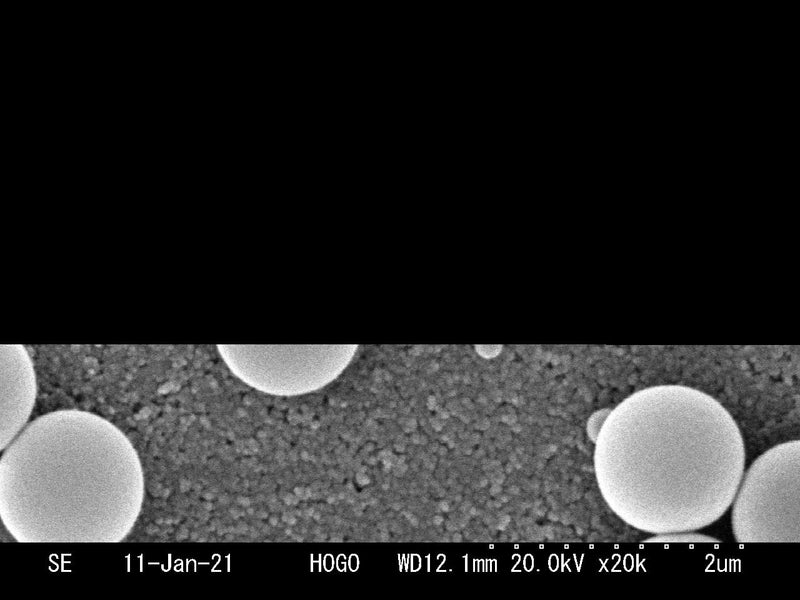 Hitachi S 3000 N VP-SEM (Variable Pressure Scanning Electron Microscope)
