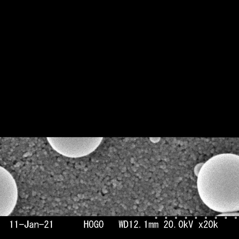 Hitachi S 3000 N VP-SEM (Variable Pressure Scanning Electron Microscope)