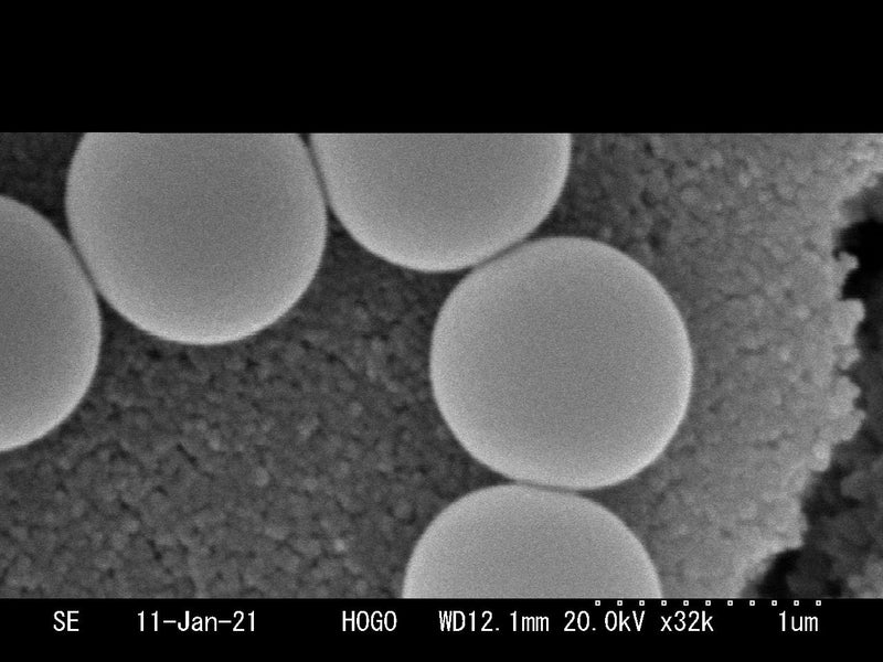 Hitachi S 3000 N VP-SEM (Variable Pressure Scanning Electron Microscope)