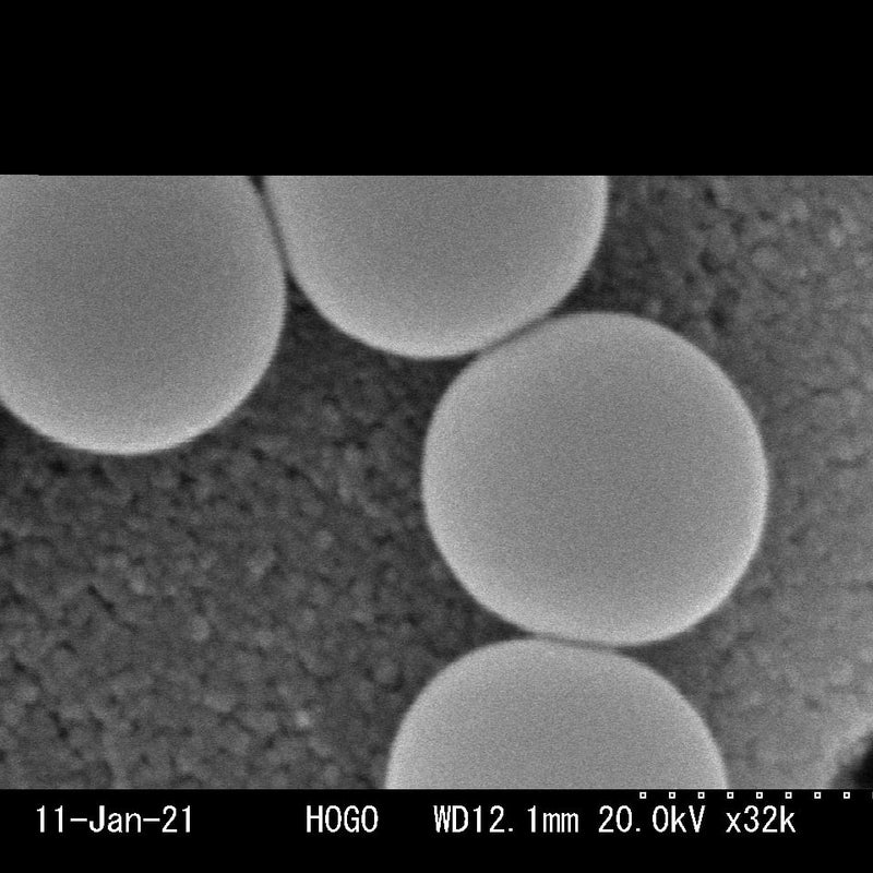 Hitachi S 3000 N VP-SEM (Variable Pressure Scanning Electron Microscope)