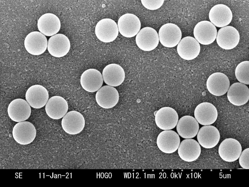 Hitachi S 3000 N VP-SEM (Variable Pressure Scanning Electron Microscope)