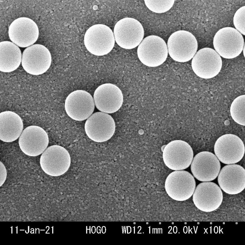 Hitachi S 3000 N VP-SEM (Variable Pressure Scanning Electron Microscope)