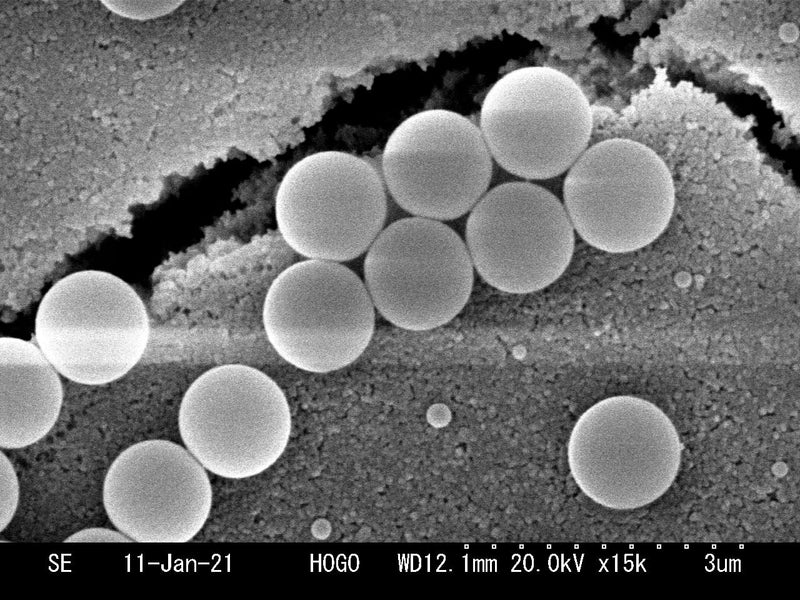 Hitachi S 3000 N VP-SEM (Variable Pressure Scanning Electron Microscope)