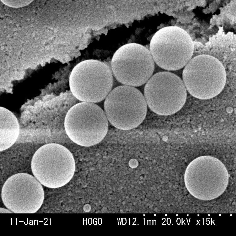 Hitachi S 3000 N VP-SEM (Variable Pressure Scanning Electron Microscope)