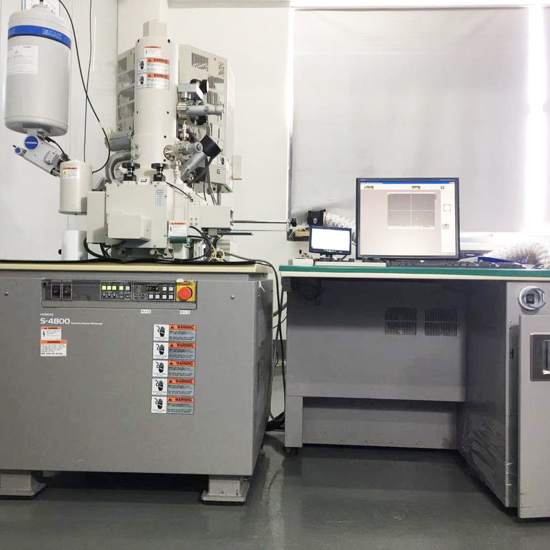Hitachi S 4800 FE-SEM (Field Emission Scanning Electron Microscope)