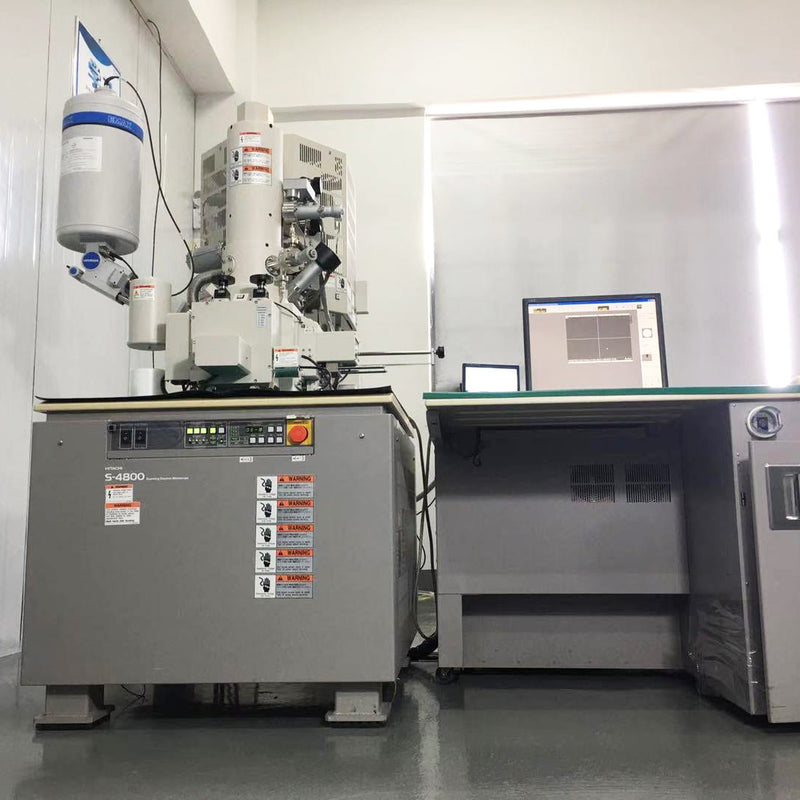 Hitachi S 4800 FE-SEM (Field Emission Scanning Electron Microscope)