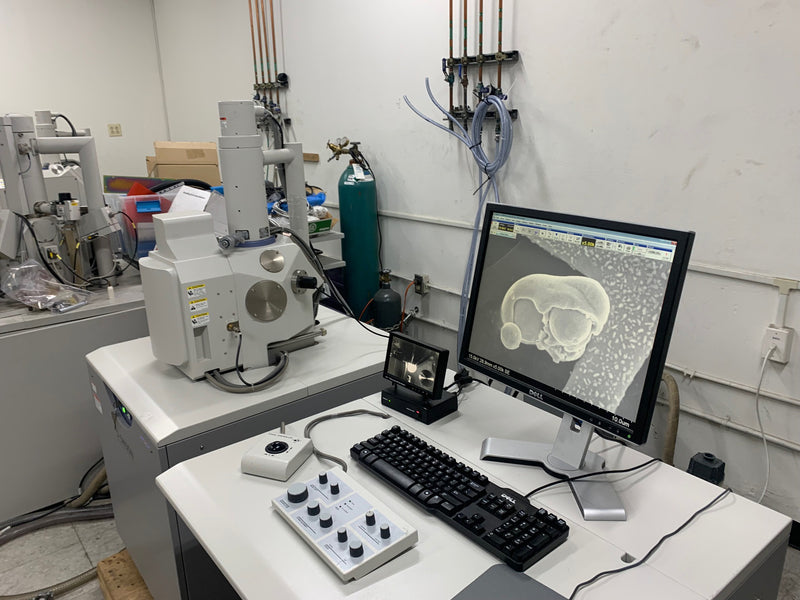 Hitachi S 3400 N VP-SEM (Variable Pressure Scanning Electron Microscope)