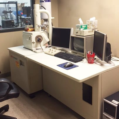Jeol JSM 5900 LV SEM (Scanning Electron Microscope)